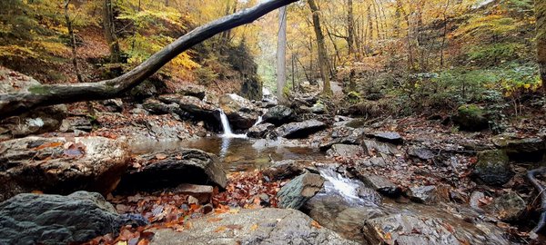 Quels sont les critères pour choisir une chaudière à granulés de bois haut rendement?