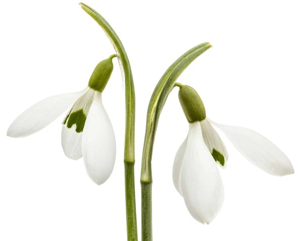 Comment déménager des articles de verrerie d'art sans casse?