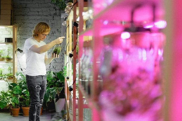 La technologie LED horticole avec la marque VGD Led